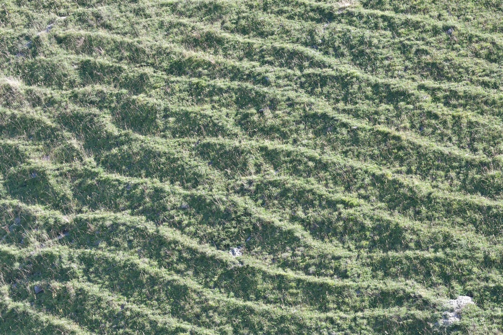 2019-08 Savoie/Aiguilles d'Arves/DSC_1439.JPG